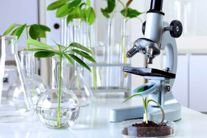 el-gobierno-elimino-restricciones-para-el-patentamiento-de-desarrollos-biotecnologicos