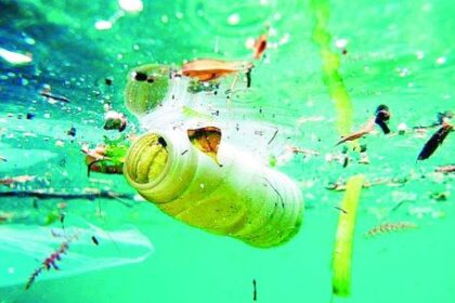la-basura-que-rompe-motores-en-el-delta