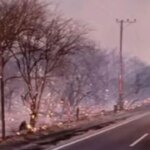 sospechan-que-los-incendios-en-cafayate-fueron-intencionales:-la-justicia-busca-a-los-responsables