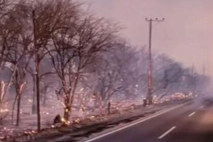 sospechan-que-los-incendios-en-cafayate-fueron-intencionales:-la-justicia-busca-a-los-responsables