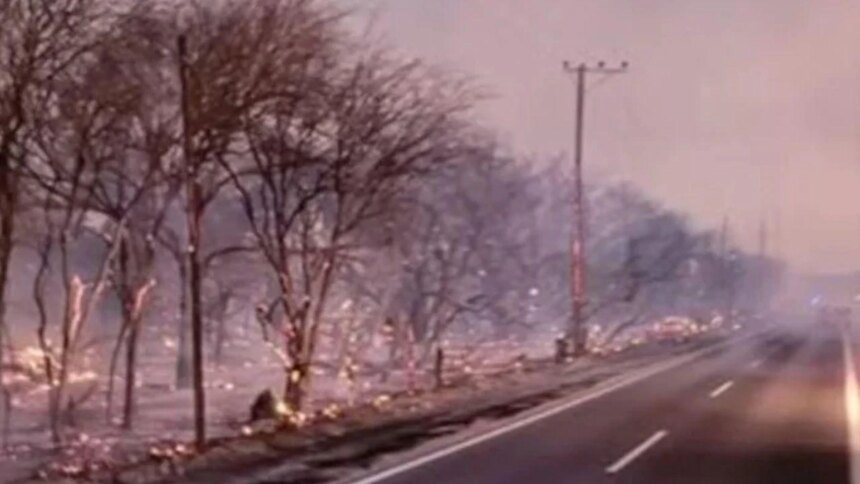 sospechan-que-los-incendios-en-cafayate-fueron-intencionales:-la-justicia-busca-a-los-responsables