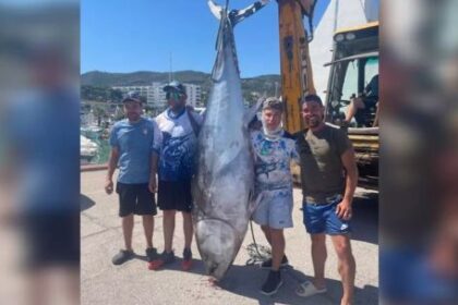 capturaron-un-atun-rojo-de-300-kilos-tras-una-lucha-de-mas-de-90-minutos