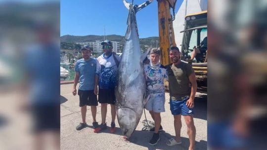capturaron-un-atun-rojo-de-300-kilos-tras-una-lucha-de-mas-de-90-minutos