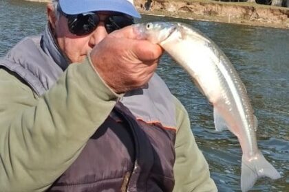 pejerreyes-de-45-cm-en-monte,-en-el-podio-de-las-mejores-lagunas-bonaerenses
