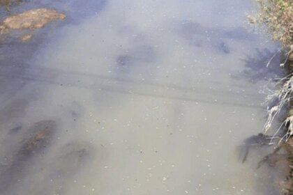“el-arroyo-es-una-cloaca”:-presentan-una-denuncia-penal-por-anos-de-contaminacion-en-el-luduena