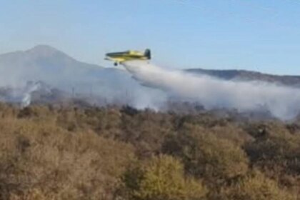 una-ley-polemica:-menos-restricciones-a-extranjeros-para-comprar-tierras-y-hacer-negocios-en-zonas-incendiadas