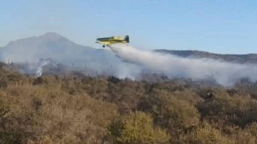 una-ley-polemica:-menos-restricciones-a-extranjeros-para-comprar-tierras-y-hacer-negocios-en-zonas-incendiadas
