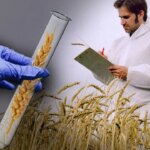 ¿no-son-transgenicos?-europa-avanza-con-una-tecnologia-que-podria-cambiar-el-futuro-del-campo
