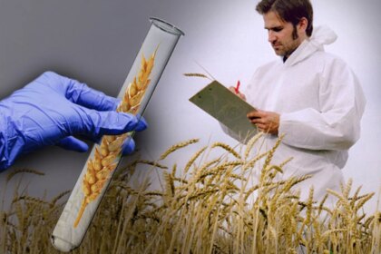 ¿no-son-transgenicos?-europa-avanza-con-una-tecnologia-que-podria-cambiar-el-futuro-del-campo