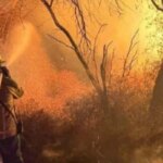 cafayate,-en-alerta:-el-fuego-ya-arraso-mas-de-200-hectareas-y-declaran-la-emergencia-ambiental