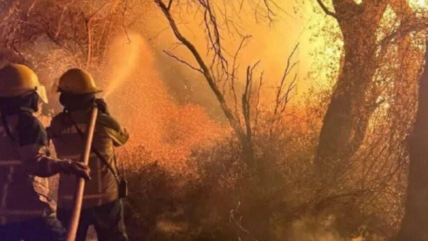 cafayate,-en-alerta:-el-fuego-ya-arraso-mas-de-200-hectareas-y-declaran-la-emergencia-ambiental