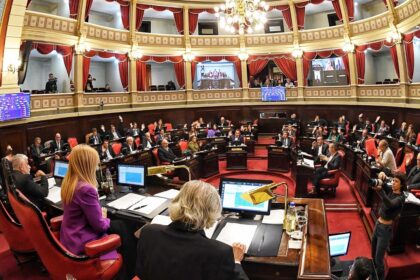 tras-seis-meses-de-paralisis,-el-senado-bonaerense-tiene-su-primera-sesion-del-ano:-bronca-del-kirchnerismo-duro-y-libertarios-por-los-proyectos-que-se-tratan