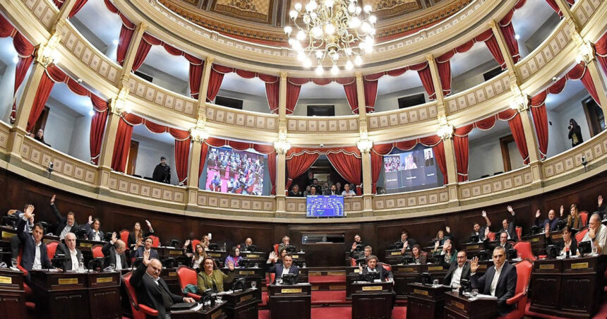 con-gritos,-cruces-y-cortes-de-microfono,-la-interna-del-pj-se-colo-en-la-primera-sesion-del-ano-en-el-senado-bonaerense