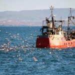un-paso-clave-en-el-mar:-argentina-se-suma-a-un-tratado-global-contra-la-pesca-ilegal