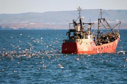 un-paso-clave-en-el-mar:-argentina-se-suma-a-un-tratado-global-contra-la-pesca-ilegal