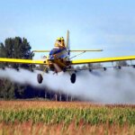 polemico-juicio-por-fumigaciones:-absuelven-a-productores-y-condenan-a-funcionarios-municipales