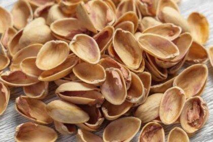 un-residuo-problematico-ahora-puede-convertirse-en-una-fuente-de-antioxidante