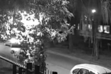video:-el-momento-en-que-el-tren-arrollo-al-auto-de-ernestina-pais