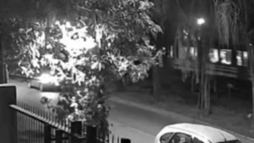 video:-el-momento-en-que-el-tren-arrollo-al-auto-de-ernestina-pais