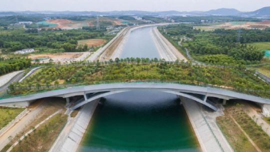 asi-es-el-superpuente-exclusivo-para-animales-que-se-esta-construyendo-en-china