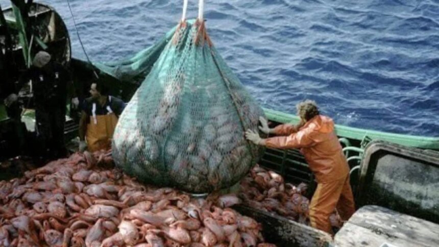 mas-presion-sobre-el-mar-argentino:-una-decision-oficial-enciende-alertas-en-la-pesca-nacional