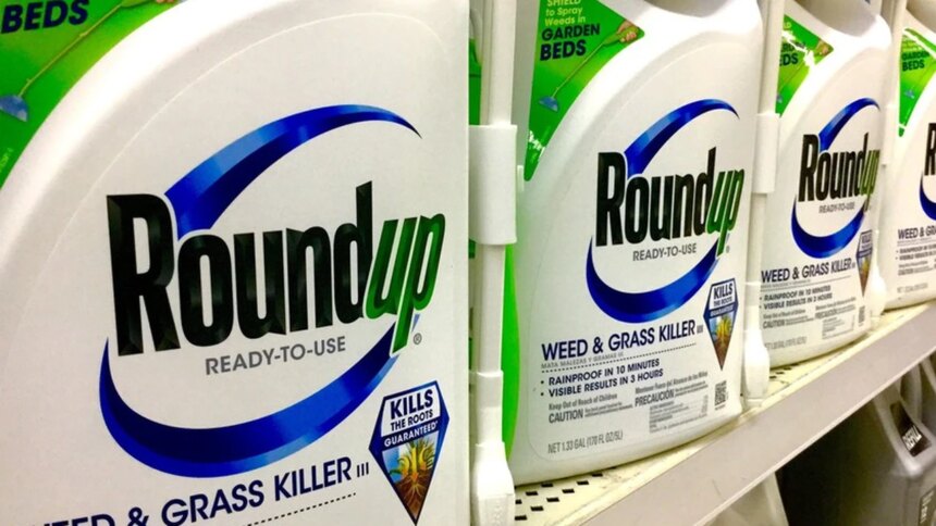 la-corte-suprema-de-eeuu.-respaldo-a-bayer-y-desestimo-miles-de-demandas-contra-el-glifosato