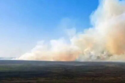 multa-por-incendiar-un-humedal:-sancionan-a-propietarios-rurales-por-una-quema-ilegal-en-entre-rios