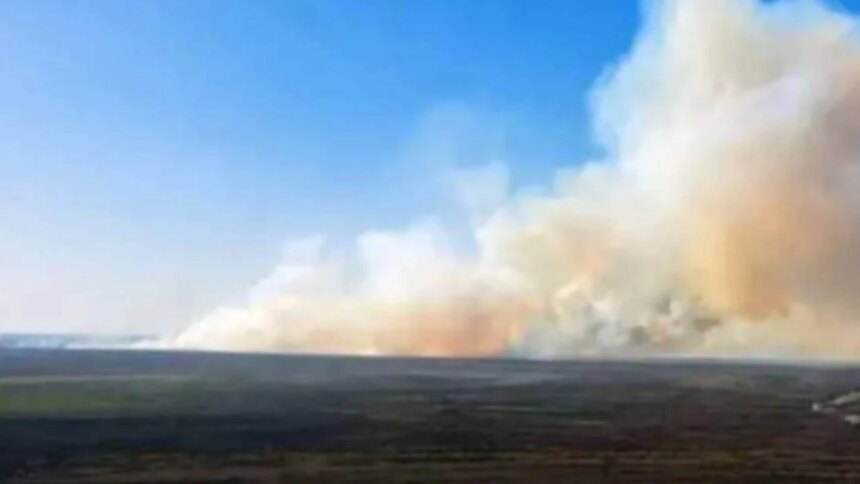 multa-por-incendiar-un-humedal:-sancionan-a-propietarios-rurales-por-una-quema-ilegal-en-entre-rios