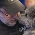 rescataron-dos-perros-tras-una-denuncia-por-maltrato-animal-y-detuvieron-a-un-hombre