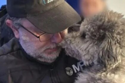 rescataron-dos-perros-tras-una-denuncia-por-maltrato-animal-y-detuvieron-a-un-hombre