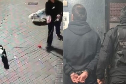 detuvieron-a-un-hombre-que-le-tiro-la-caca-de-sus-perros-a-un-local-de-la-libertad-avanza-en-rosario
