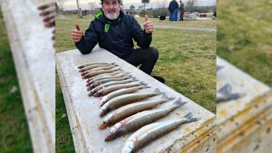con-temperaturas-de-un-digito:-explosion-de-pejerreyes-en-las-lagunas