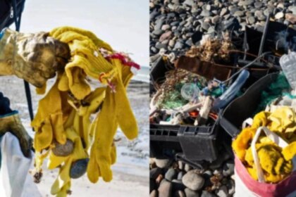 la-basura-no-nace-en-la-playa:-un-estudio-revela-que-la-pesca-esta-detras-de-la-invasion-de-plasticos-en-chubut
