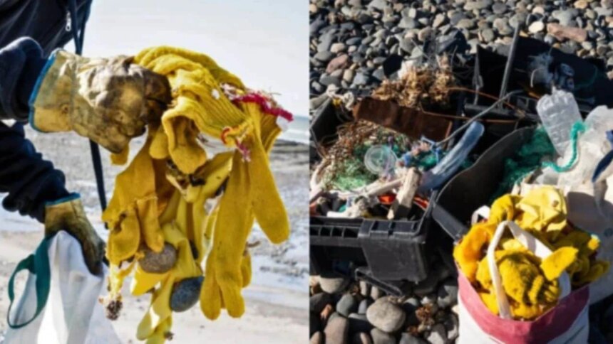 la-basura-no-nace-en-la-playa:-un-estudio-revela-que-la-pesca-esta-detras-de-la-invasion-de-plasticos-en-chubut