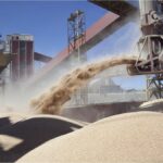 las-exportaciones-agroindustriales-alcanzaron-53-millones-de-toneladas-y-u$s22.383-millones-entre-enero-y-mayo