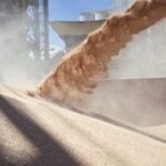 la-liquidacion-de-divisas-por-parte-del-agro-crecio-12%-mensual-en-junio,-aunque-el-acumulado-del-primer-semestre-cerro-13%-abajo