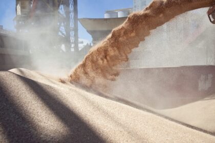 la-liquidacion-de-divisas-por-parte-del-agro-crecio-12%-mensual-en-junio,-aunque-el-acumulado-del-primer-semestre-cerro-13%-abajo