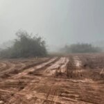 topadoras-en-el-monte-chaqueno:-denuncian-la-destruccion-de-20-hectareas-de-bosque-nativo