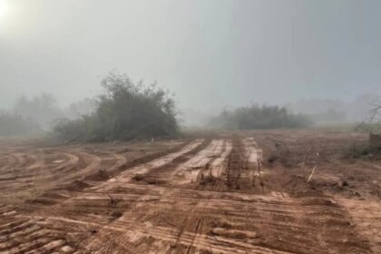 topadoras-en-el-monte-chaqueno:-denuncian-la-destruccion-de-20-hectareas-de-bosque-nativo