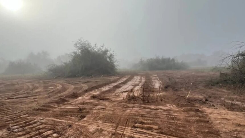 topadoras-en-el-monte-chaqueno:-denuncian-la-destruccion-de-20-hectareas-de-bosque-nativo
