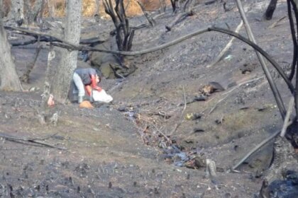 alertan-que-los-incendios-forestales-podrian-afectar-la-calidad-del-agua-para-consumo