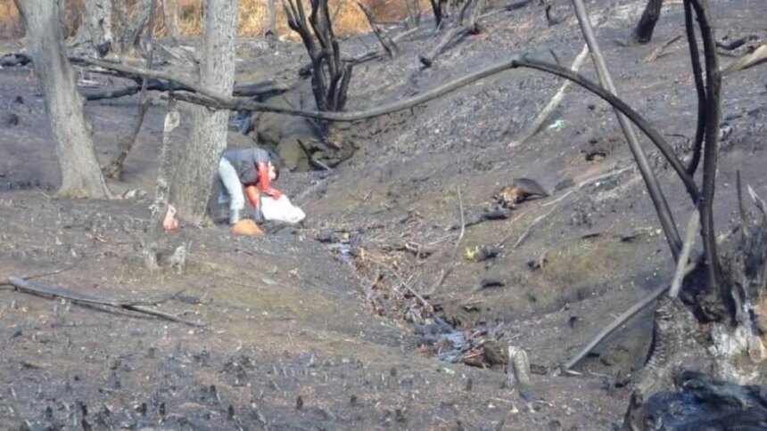 alertan-que-los-incendios-forestales-podrian-afectar-la-calidad-del-agua-para-consumo