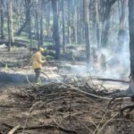 alerta-en-el-agro-por-la-“ley-de-ecocidio”:-el-sector-advierte-que-podria-llevar-a-prision-a-productores-y-empresarios