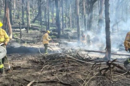 alerta-en-el-agro-por-la-“ley-de-ecocidio”:-el-sector-advierte-que-podria-llevar-a-prision-a-productores-y-empresarios