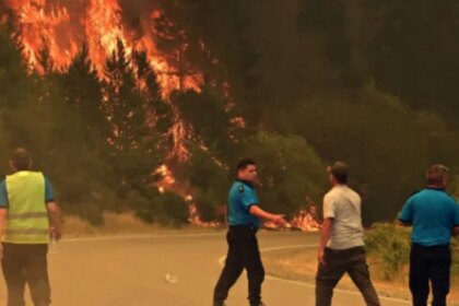 cafayate-prohibe-nuevos-loteos-en-las-zonas-afectadas-por-los-incendios-forestales
