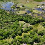 presentan-un-amparo-ambiental-por-el-deterioro-del-parque-caraguata-en-resistencia