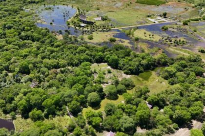 presentan-un-amparo-ambiental-por-el-deterioro-del-parque-caraguata-en-resistencia