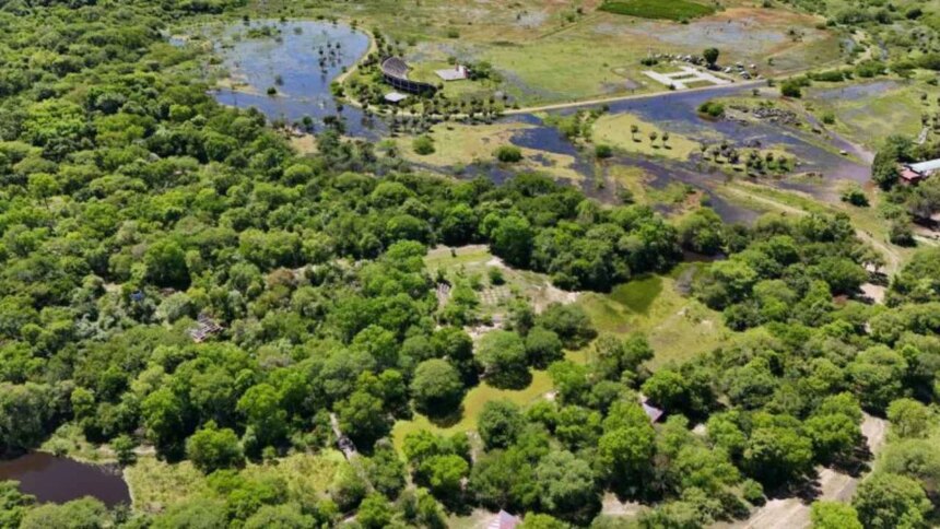 presentan-un-amparo-ambiental-por-el-deterioro-del-parque-caraguata-en-resistencia