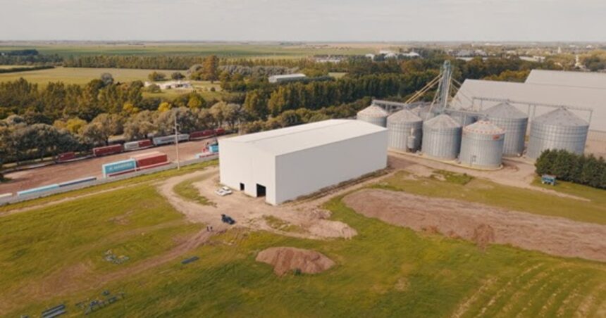 una-empresa-argentina-dedicada-al-mani-amplia-sus-unidades-de-negocios:-ahora-invertira-en-una-planta-para-procesar-maiz-y-producir-semolas-y-harinas