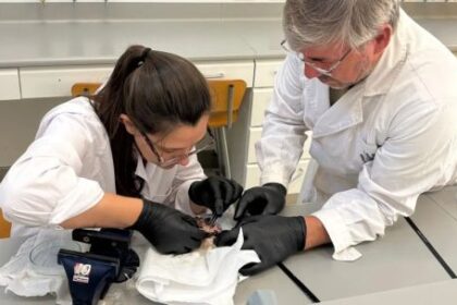 como-es-el-proyecto-que-une-a-cientificos-y-pescadores-para-proteger-el-rio-ctalamochita